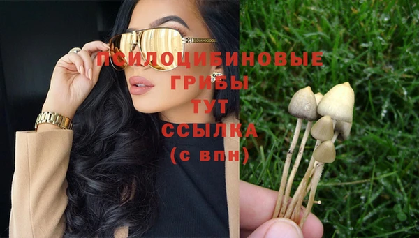 прущие грибы Алексин