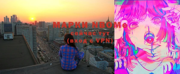 хмурый Алзамай