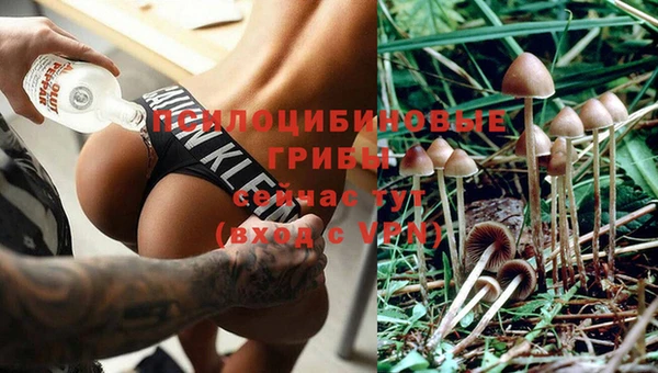 прущие грибы Алексин