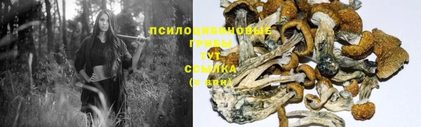 хмурый Алзамай