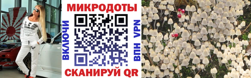 Галлюциногенные грибы Magic Shrooms Райчихинск